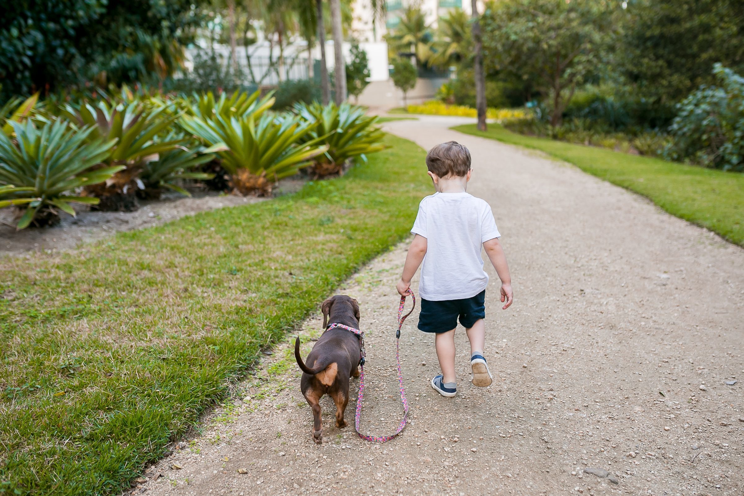 Foto de Flavia Martins Fotografia 14