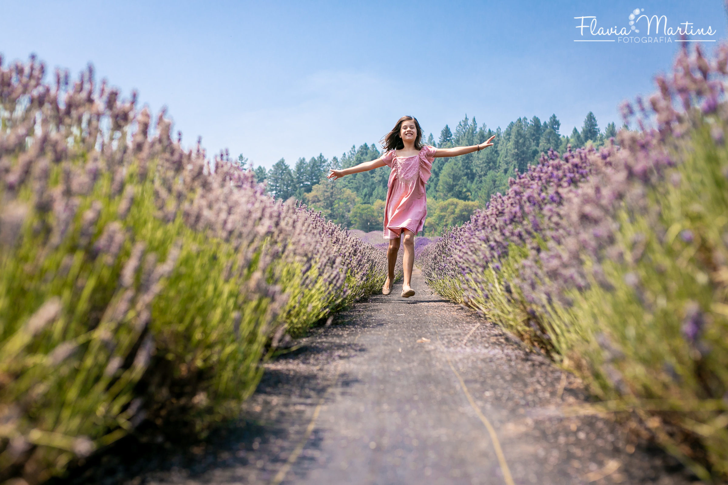 Foto de Flavia Martins Fotografia 0