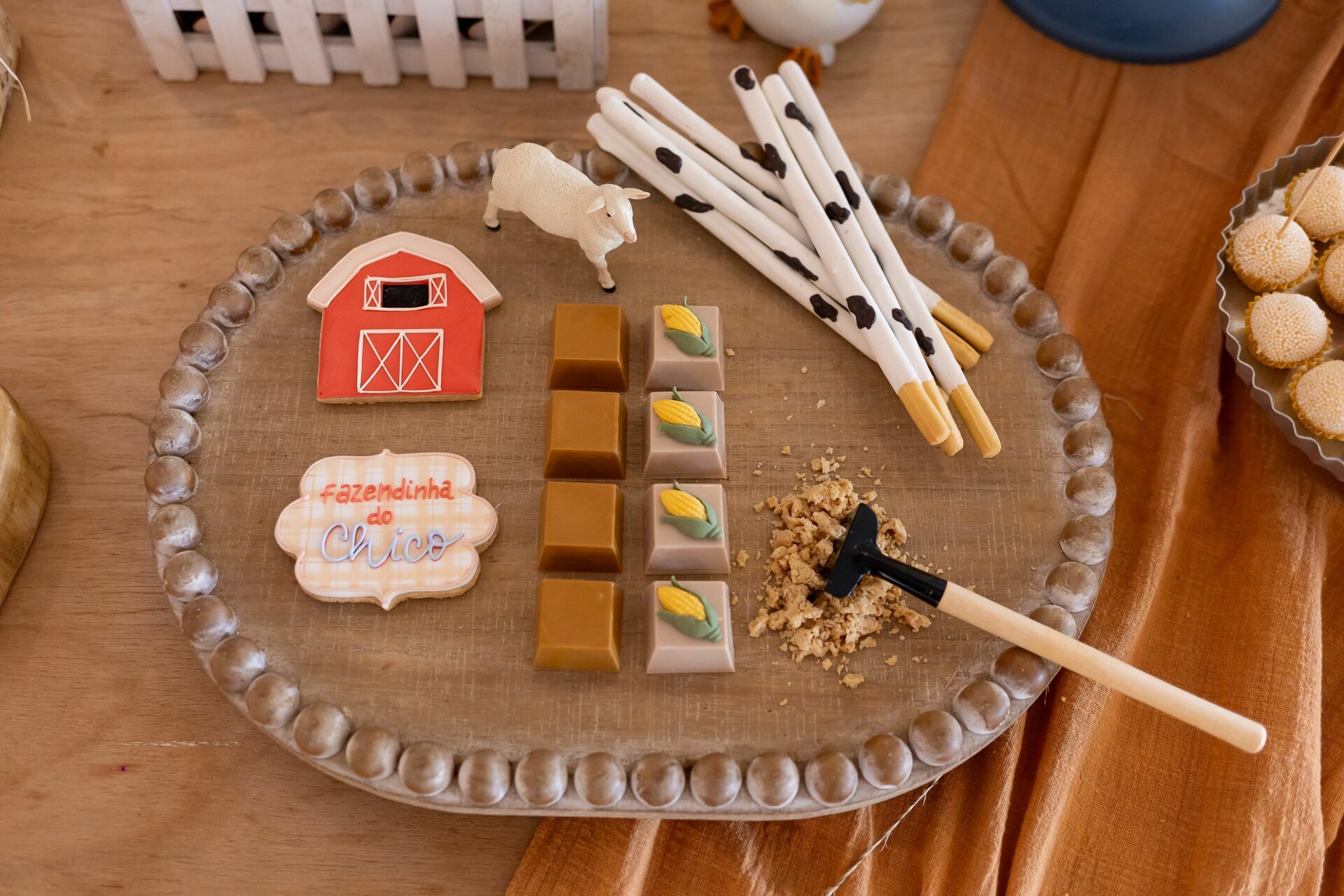 Foto Festa Francisco - 1 Ano - tema Fazendinha - Imagem 3