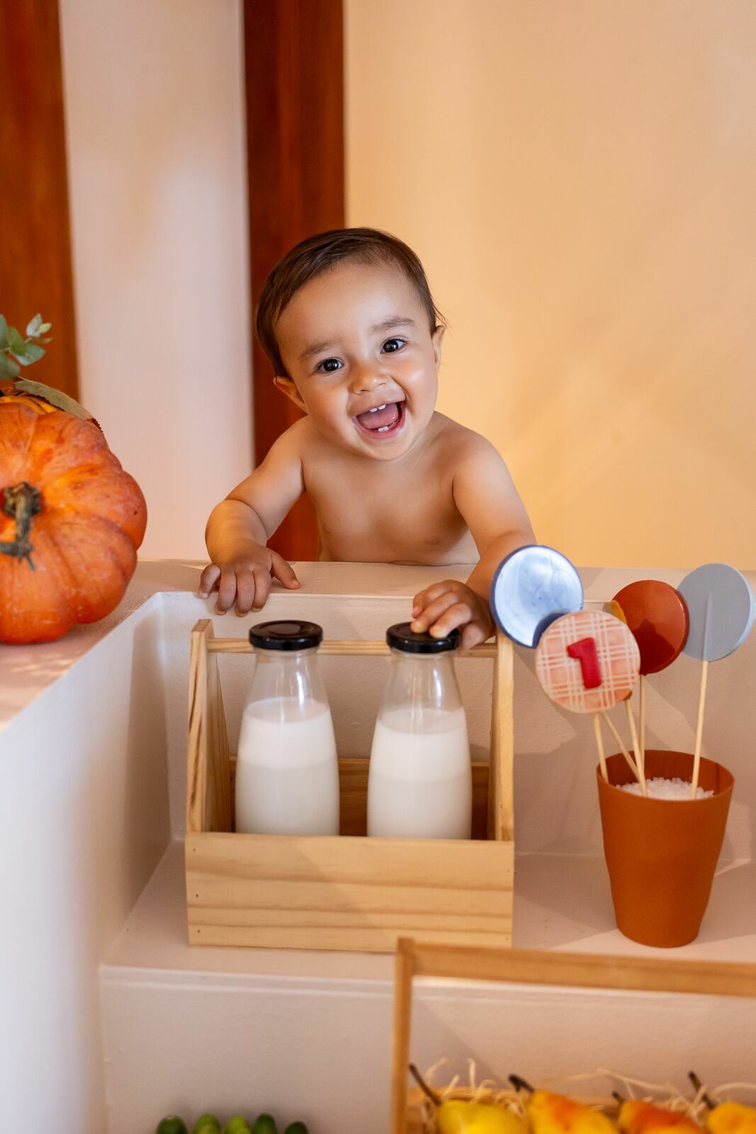 Foto Festa Francisco - 1 Ano - tema Fazendinha - Imagem 23