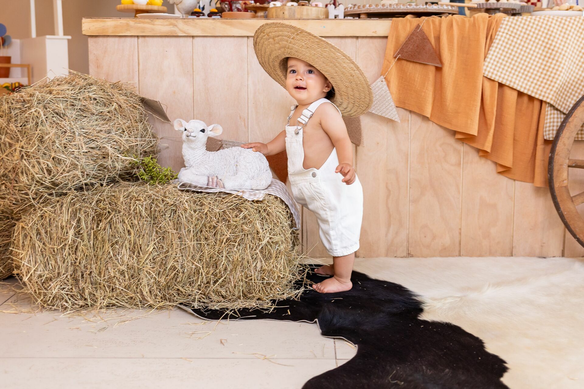 Foto Festa Francisco - 1 Ano - tema Fazendinha - Imagem 24