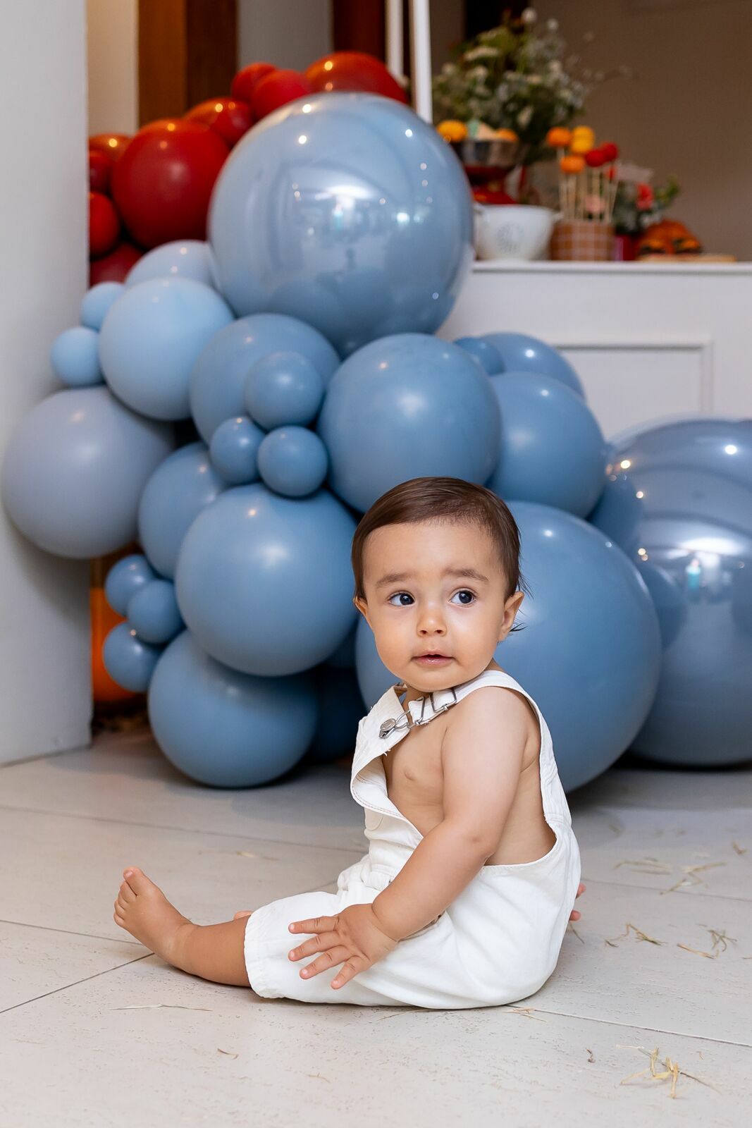 Foto Festa Francisco - 1 Ano - tema Fazendinha - Imagem 25