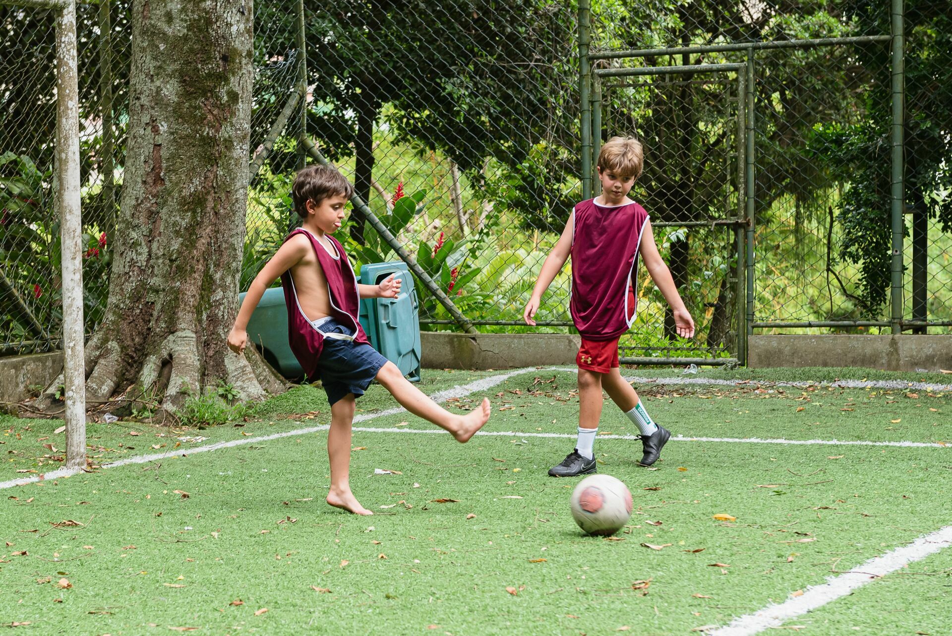 Foto Festa Zézé - Imagem 17