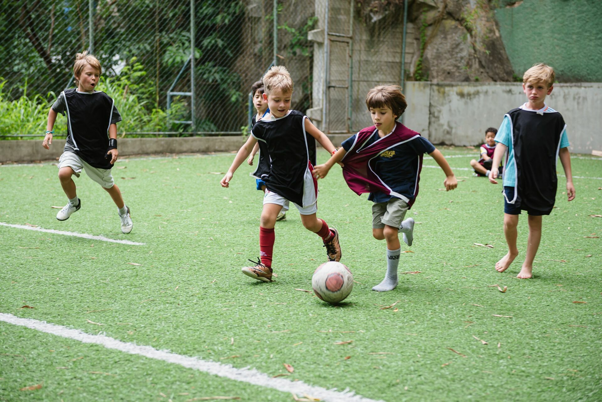 Foto Festa Zézé - Imagem 15